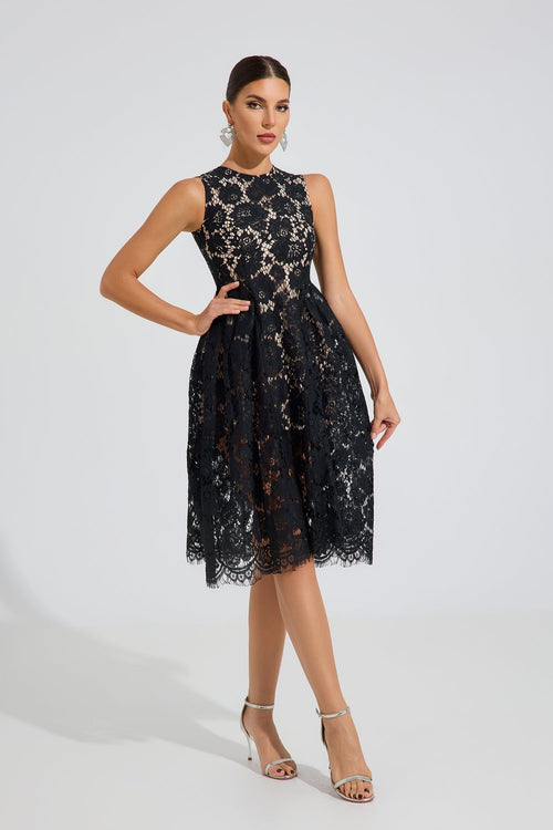 Ashford Noir Dantel A-Line Midi Elbise